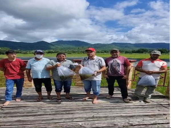 Peixamento em vários açudes de Barreira.